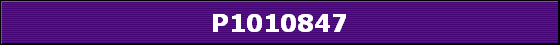P1010847