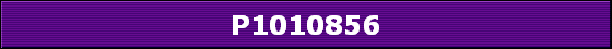 P1010856