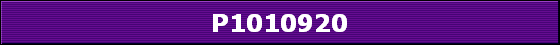 P1010920