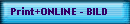 Print+ONLINE - BILD